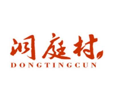 洞庭村