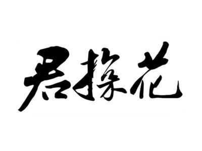 君探花
