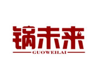锅未来
