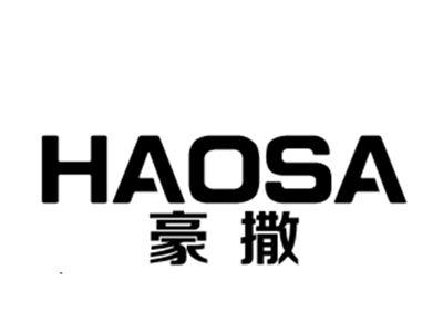豪撒