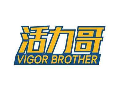 活力哥VIGORBROTHER