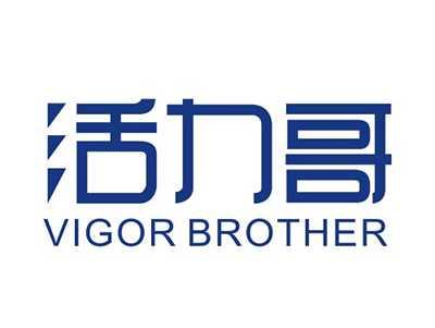 活力哥VIGORBROTHER