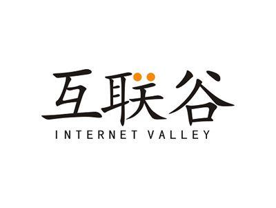 互联谷INTERNETVALLEY
