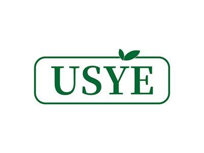 USYE
