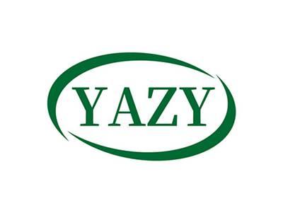 YAZY