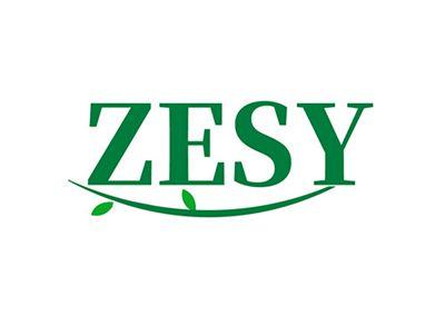 ZESY