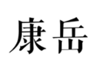 康岳