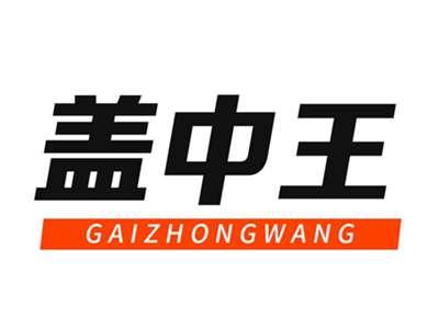 盖中王