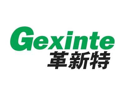 革新特