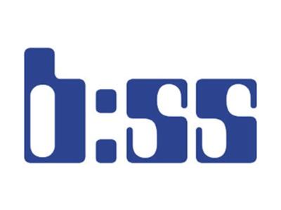 BSS