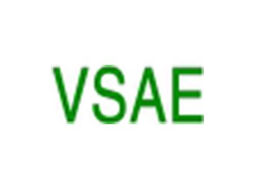 VSAE