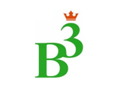 B3