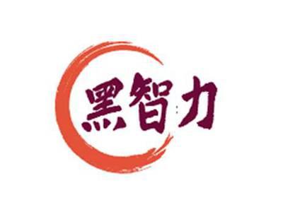黑智力