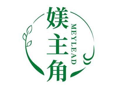 媄主角MEYLEAD