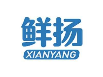 鲜扬XIANYANG
