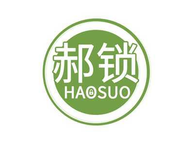 郝锁HAOSUO