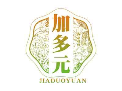 加多元JIADUOYUAN