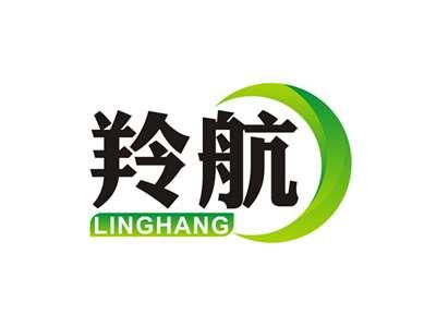 羚航LINGHANG