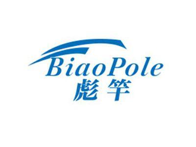 彪竿BiaoPole