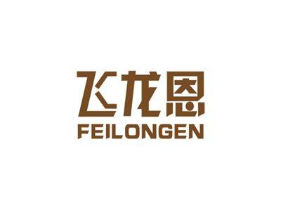 飞龙恩
FEILONGEN
