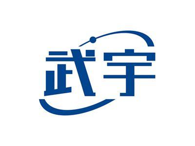 武宇