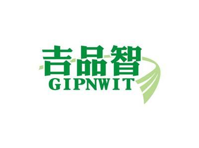 吉品智GIPNWIT