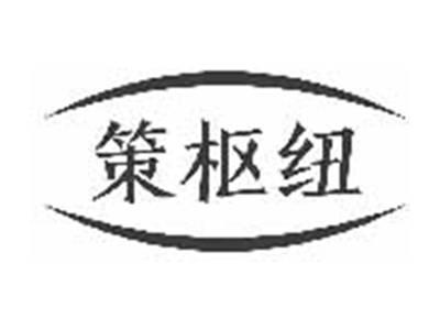 策枢纽