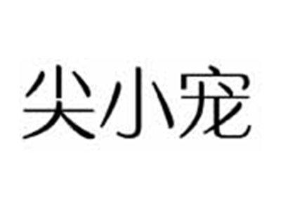 尖小宠