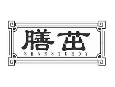 膳茁SHANSTURDY
