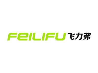 飞力弗