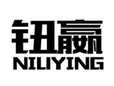 钮赢+NIUYING