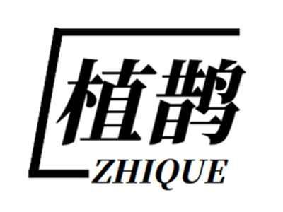 植鹊+zhique