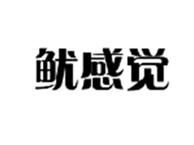 鱿感觉