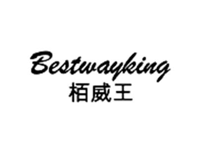 栢威王BESTWAYKING