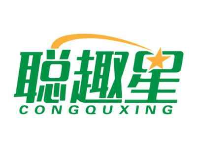 聪趣星CONGQUXING