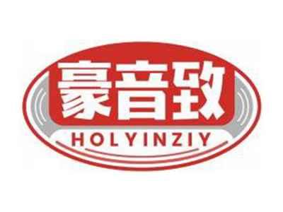 豪音致HOLYINZIY