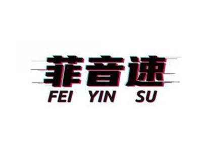 菲音速FEIYINSU
