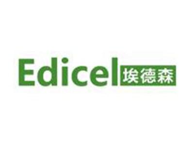 埃德森
EDICEL