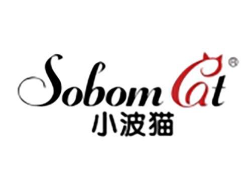 小波猫