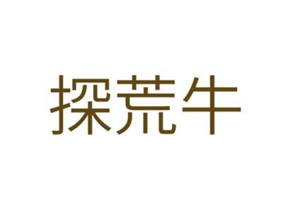 探荒牛