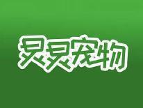 炅炅宠物