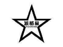 派格星PAIGEXING