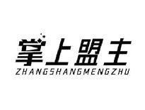 掌上盟主ZHANGSHANGMENGZHU