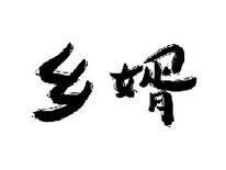 乡婿