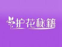 护花秘籍