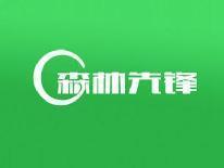 森林先锋