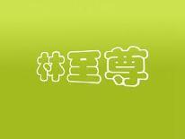 林至尊