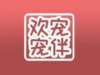 欢宠宠伴