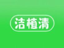 洁植清