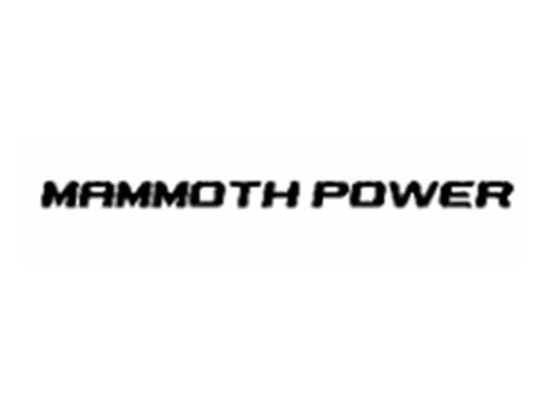 MAMMOTHPOWER（巨大力量）